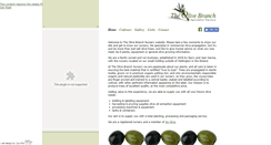 Desktop Screenshot of olivebranchnursery.co.za